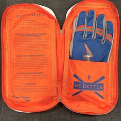 Bruce Bolt Batting Gloves