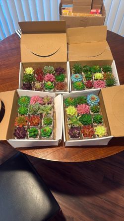 Small Faux Succulents