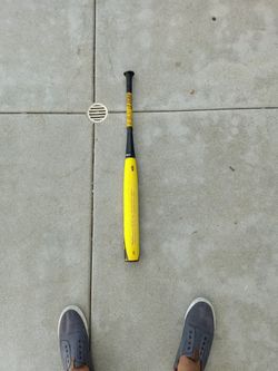 Easton Baseball Bat