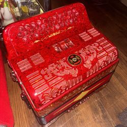 Accordion/ Acordeonista