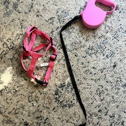 Cat Harness And Retractable Leash