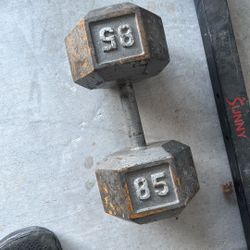 85 lbs Dumbbell
