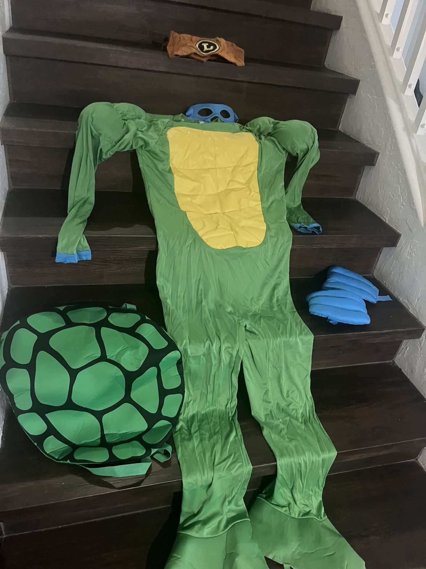 Ninja Turtle