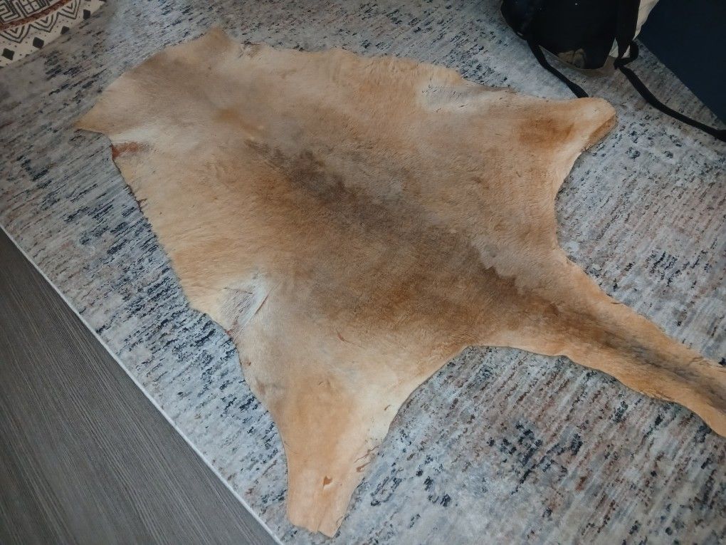 Kangaroo Pelt