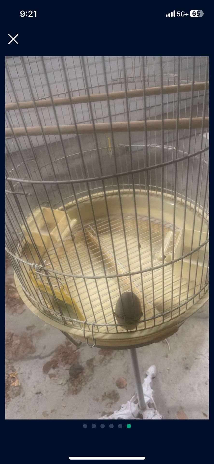Bird Cage