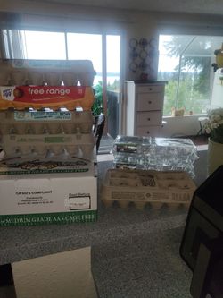 FREE EMPTY EGGS BOXES