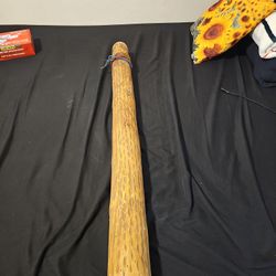 Cactus Rain STICK Instrument 