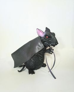Halloween Rat
