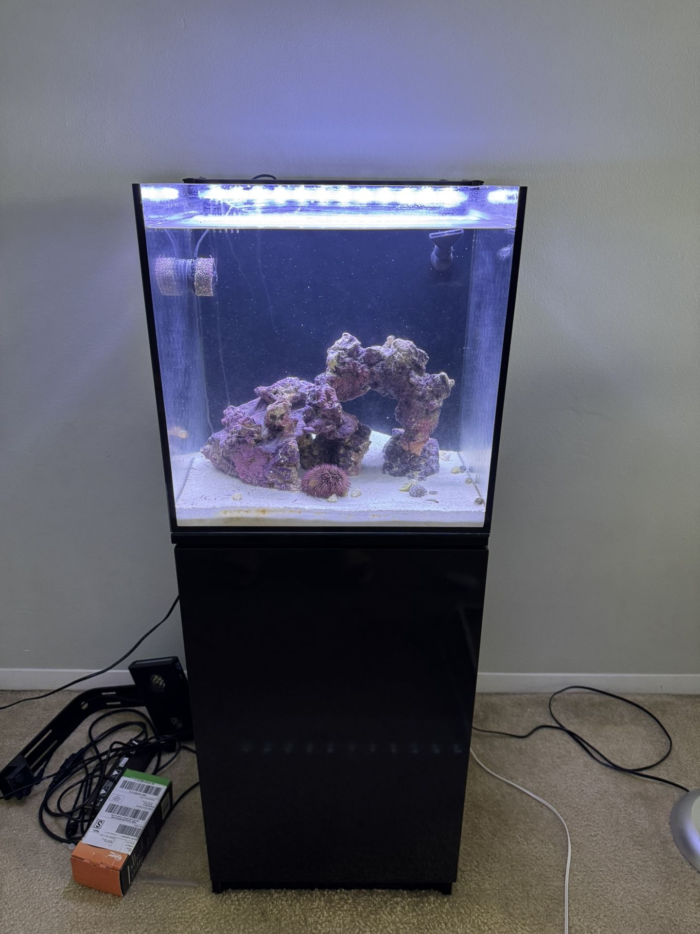 25 Gallons Salt Water Fish Tank