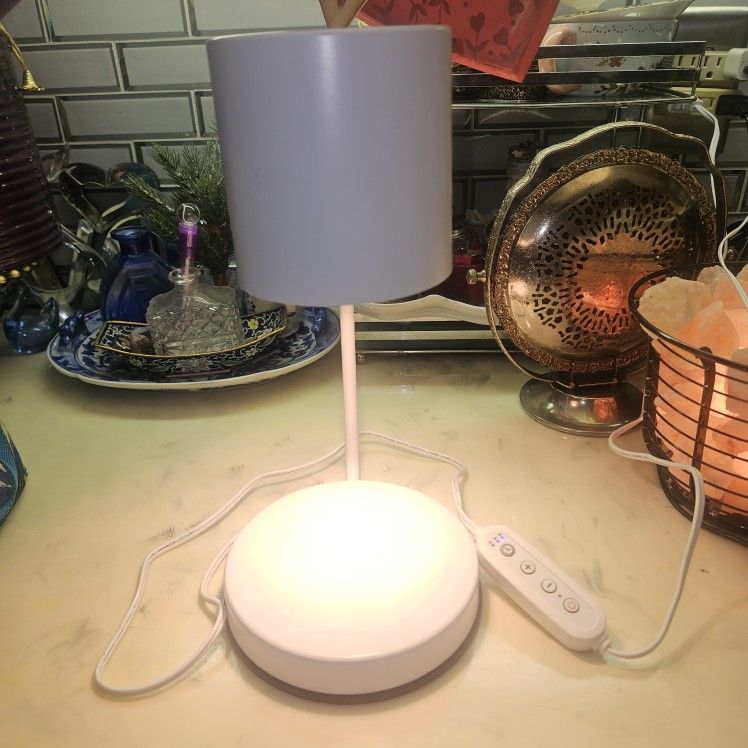 NOT YOUR AVERAGE  DESK  LAMP