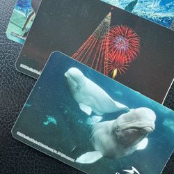 Seaworld Halloween Tickets (3) 