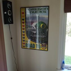 Oregon Ducks Collectible 