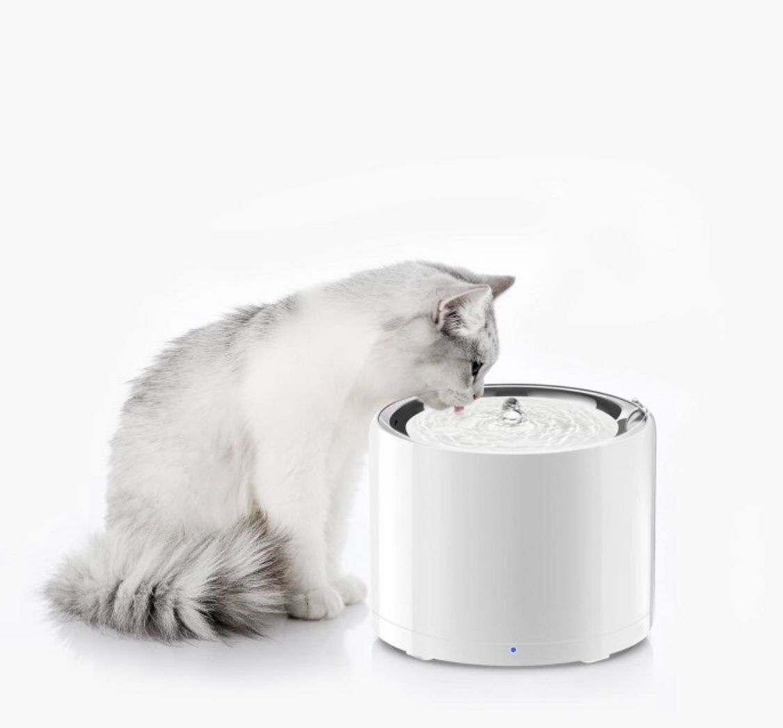 Petkit Eversweet 3 Pet Modern Water Fountain