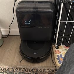 Auto cleaning Eufy