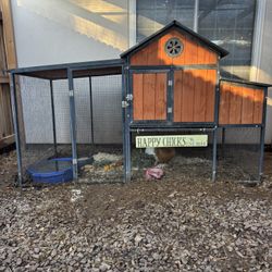 Chicken Coop 
