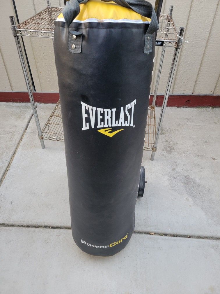 Everlast Punching Bag