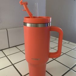 New Cups 