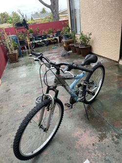 Next 26in Bike