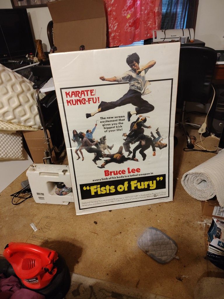 Bruce Lee Fist Of Furry