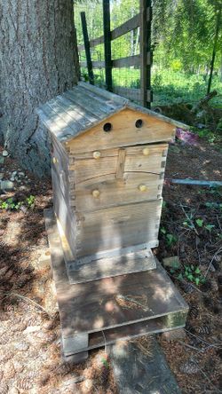 Beehive 
