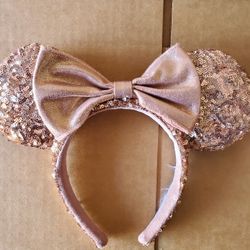 Disneyparks Ears