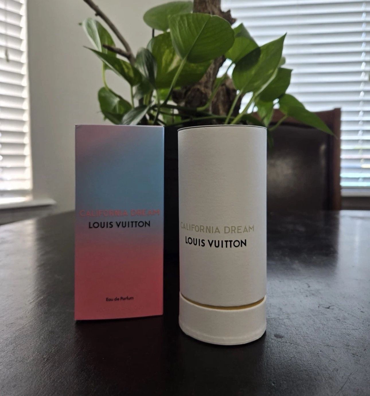 BEST OFFER Louis Vuitton California Dream