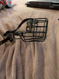 Dog muzzle