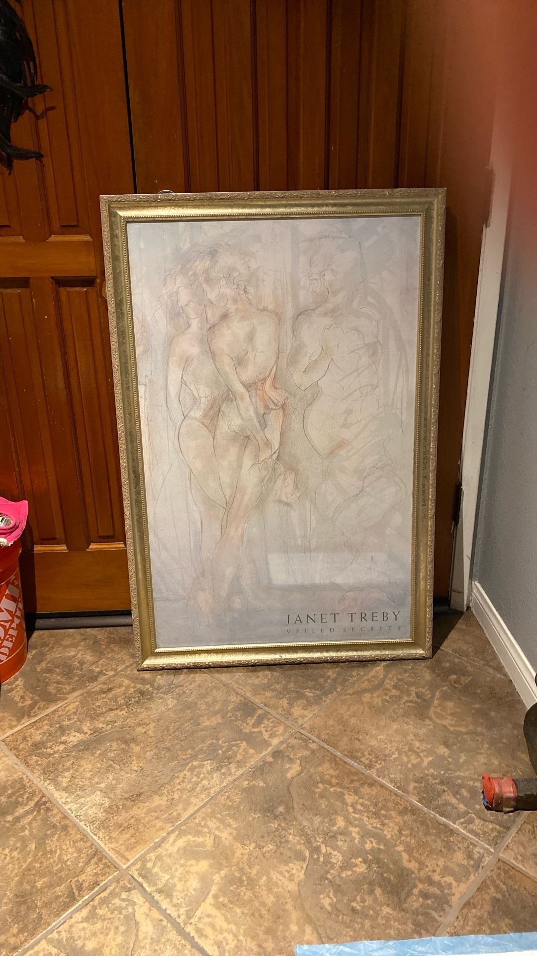The print "Veiled Secrets" by the English artist Janet Treby