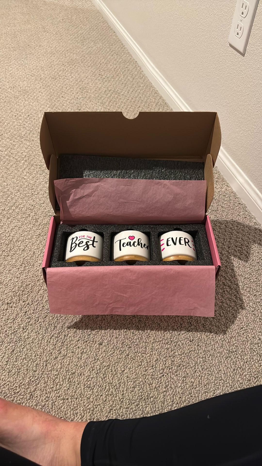 Best Teacher Ever Succulent Planters