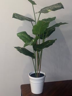 Artificial 42” Plant In The White or Black  Planter