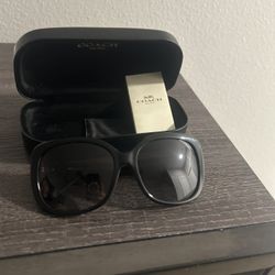 Coach Sunglasses 