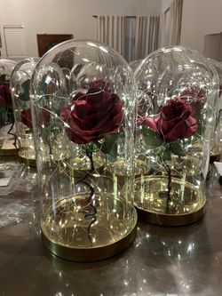 Glass Rose 