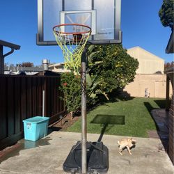 Basketball Hoop 