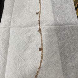 Bonita Tobillera Oro Laminado