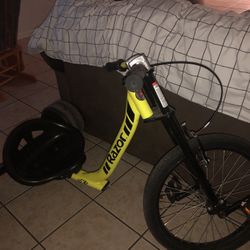 Tricycle Type A Bike For Adults And Kids