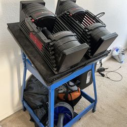 Powerblock EXP 95 lbs Dumbbells and Stand 