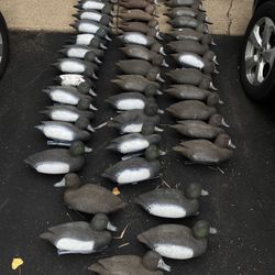 3-1/2 Doz Bluebill Diver Duck Decoys. 