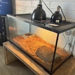 Reptile Tank 