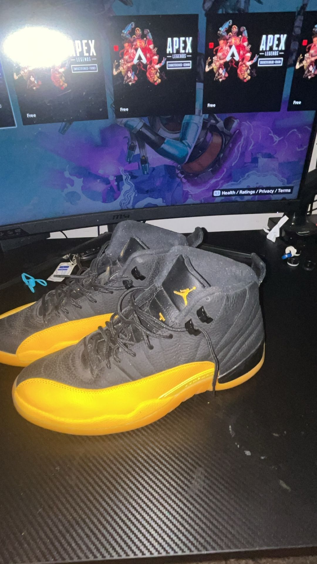 Jordan 12 University Gold
