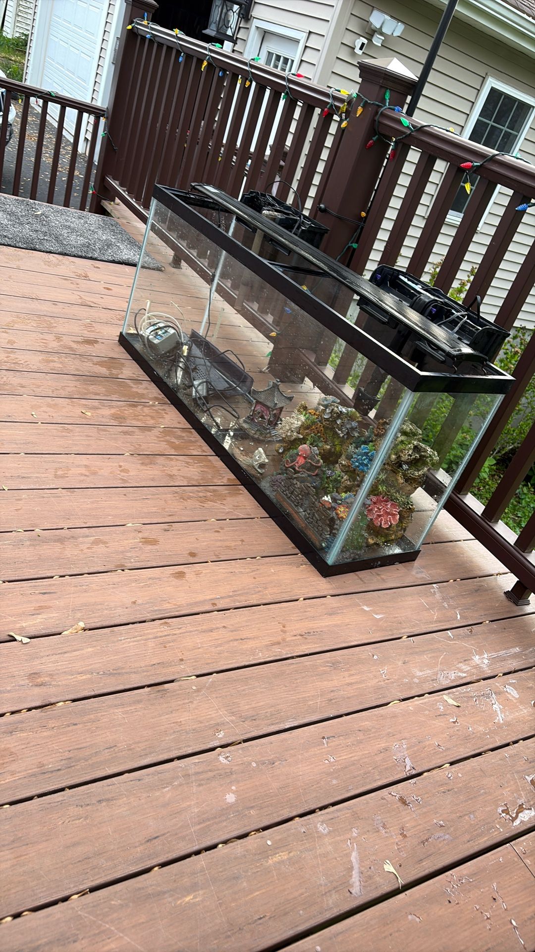 Fish Accessories