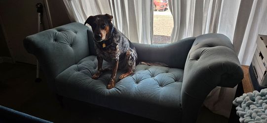 Chaise