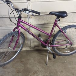 Schwinn Women's  20 Inch Mountain Bike -Pre Owned And In Good Condition 