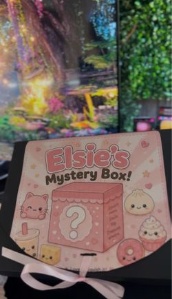 $40 squishy mystery box