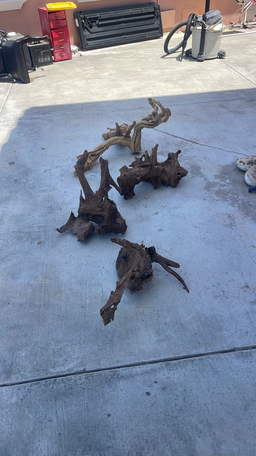 Big Pieces Driftwood 