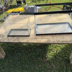 Fish Tanks