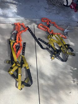 Harness/Basket Harness