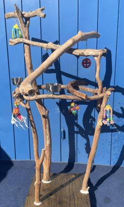 Dual Level Macaw - Cockatoo Perch Tree .., Thick And Curvy … All Custom, Compact Base Fits Most Anywhere!! 👍🏼👍🏼💯