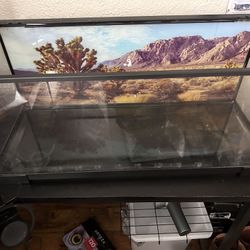 20 Gallon Reptile tank