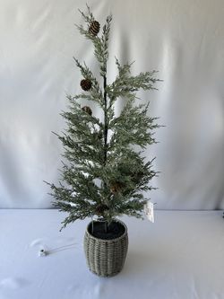 Christmas Tree Light