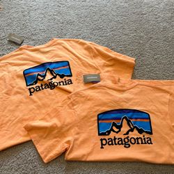 Patagonia Tee